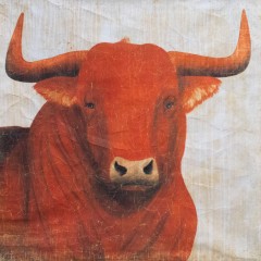 RED BULL (120x120cm)